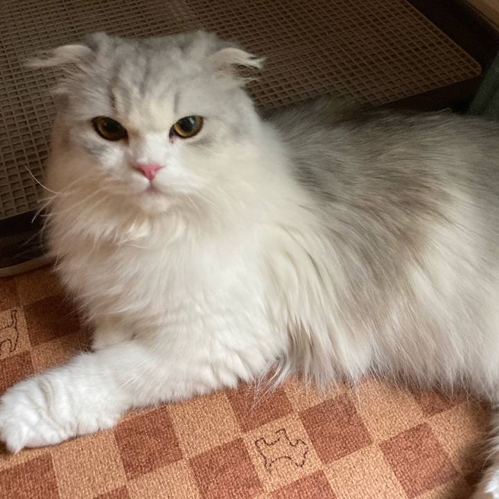 Cd7ffbb3 fbcd 425c ad44 a464d9c0322b 1621687870187