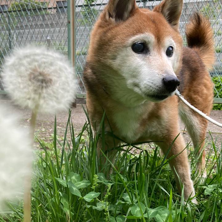 Cd7ffeda 710f 480d 8e33 0b88704b9c2d 1745564226836