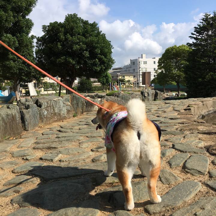 Cd801e2a 12ff 4b6c 80a8 a1a5c46e481d 1565482004020