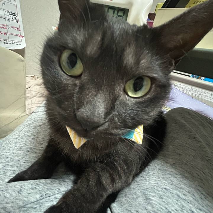 Cd8027b1 6728 430c ac9e 598a2030ba30 1761210016970