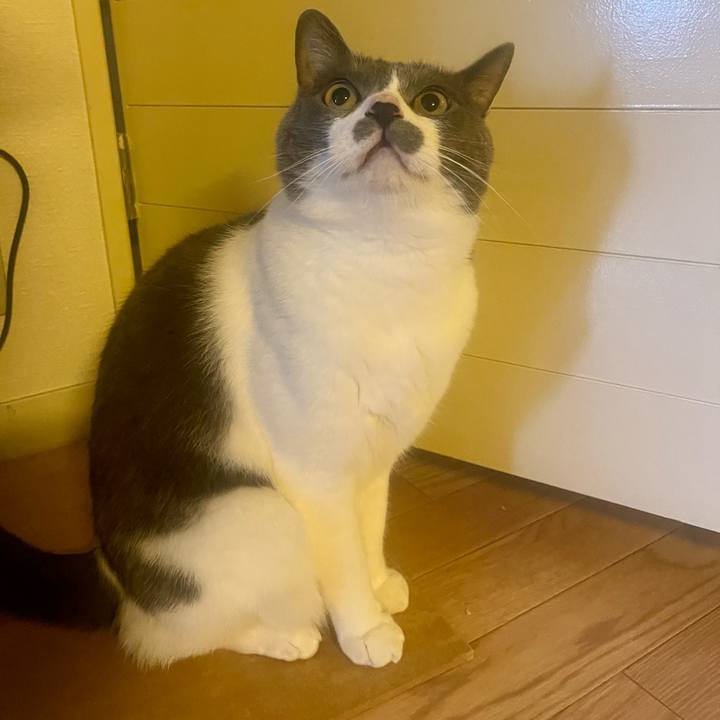 Cd803bd8 ff2f 4eac a566 2547206ed27e 1652050154481