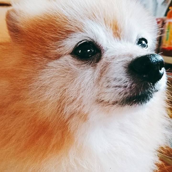 Cd804b47 5b97 444b 8405 c29882361d2a 1563171773322