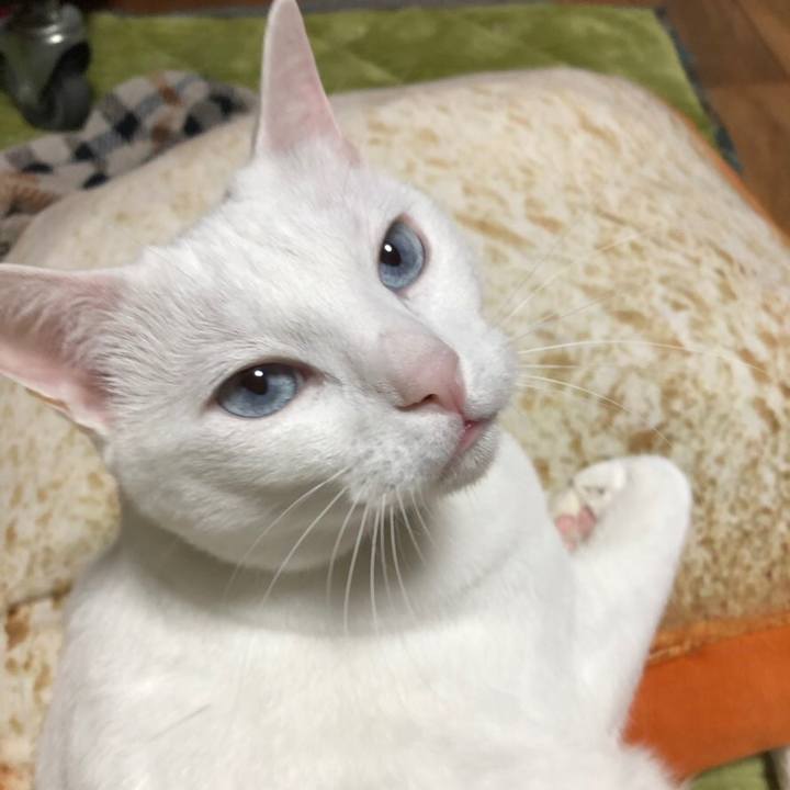 Cd8083d9 a23b 4f60 b797 cf8ac6f30204 1546091036415