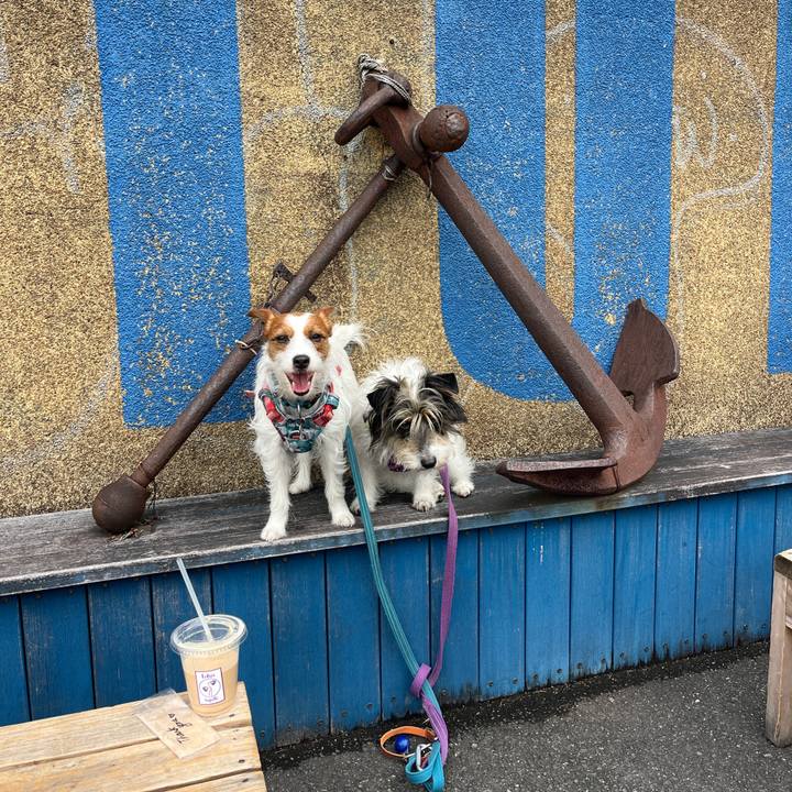 Cd809419 b495 4c97 a3a0 fc5ad60fb029 1777021959450