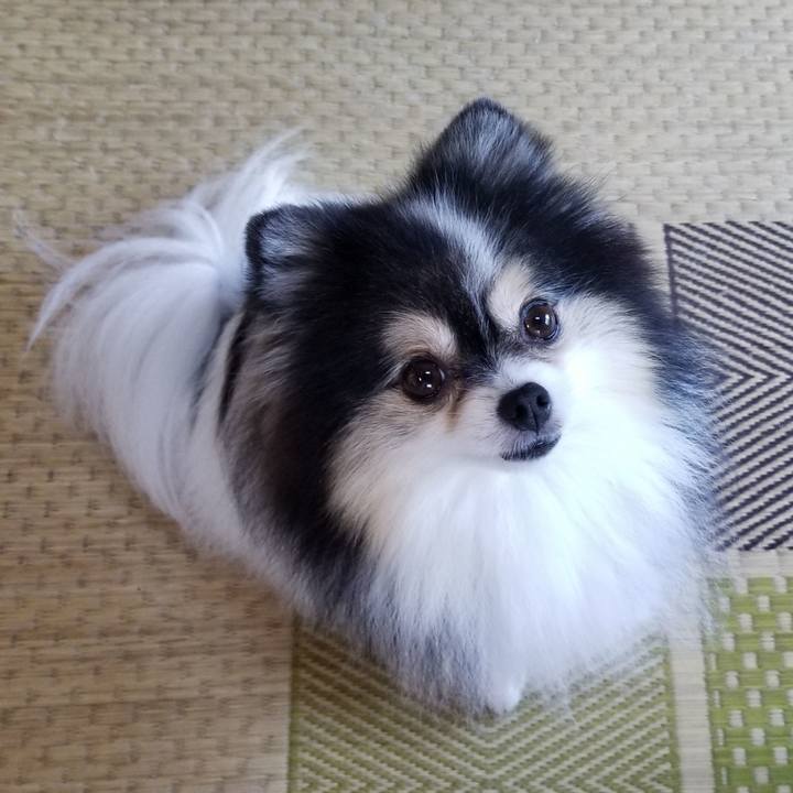 Cd810dc5 3cab 4fdb 929c 36aeb1f77221 1597189605533