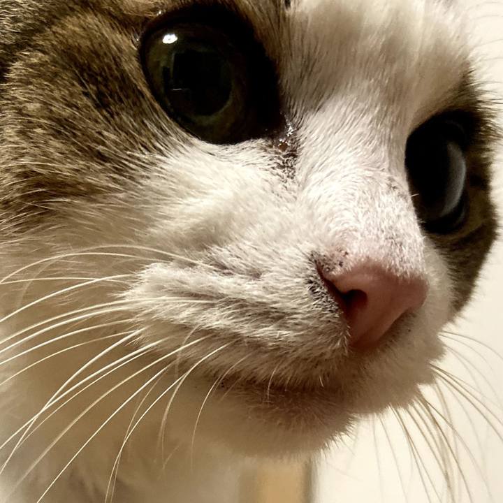 Cd812178 a62b 45f0 a553 d62e06becc1f 1570537947386