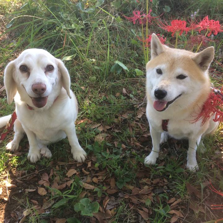 Cd8168d2 377f 4ae4 a749 4cf85261ae86 1537199079614