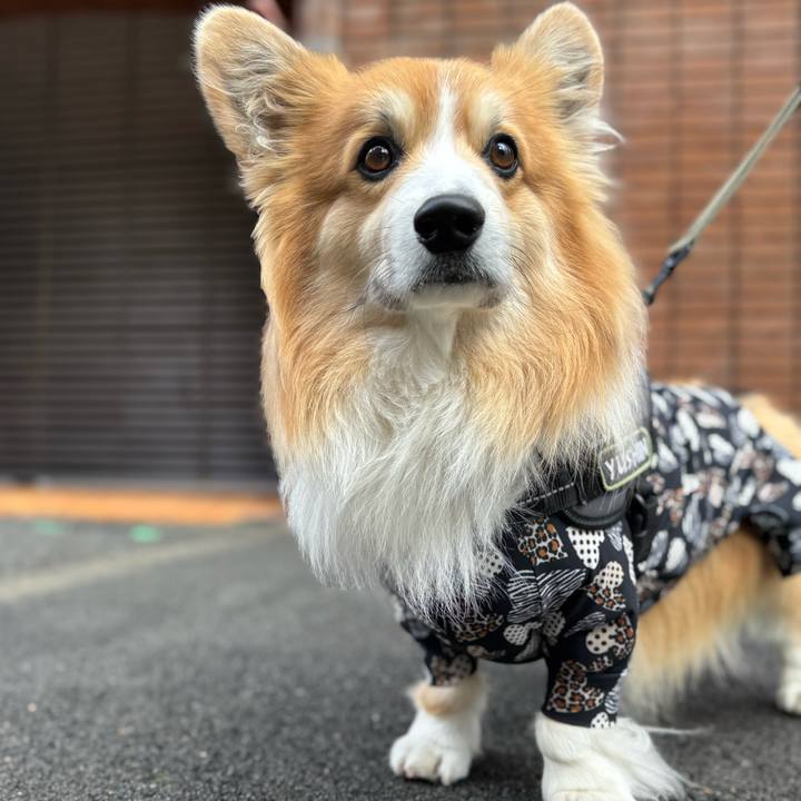 Cd818c9e 97de 4cd6 8dba ab76a6393790 1772580898277