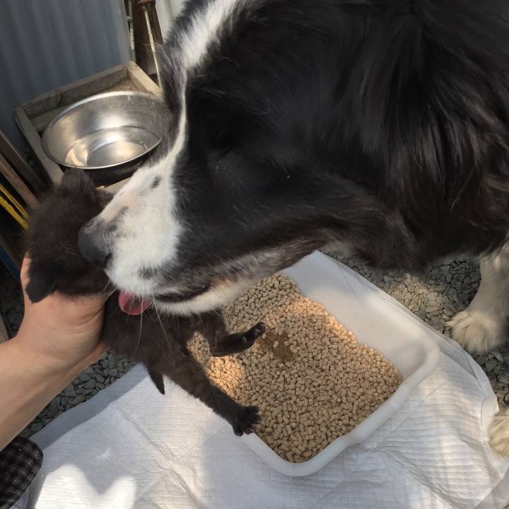 Cd81ab7b e195 42ad 9252 e28540f8ed14 1554514023202