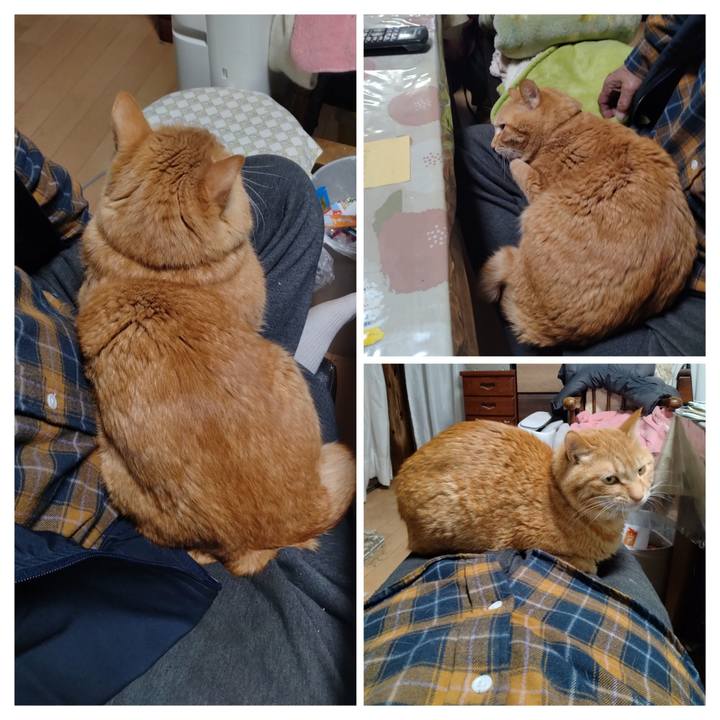 Cd81dc5b a6e0 4173 b479 c5e88232a559 1713607546648