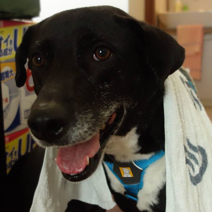 Cd829acd 7e91 4ab1 b38a 2abce6babbd0 1682594103229