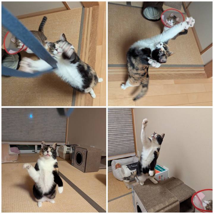 Cd82c9b1 2cca 4586 a45f 84be64026e29 1765533880014