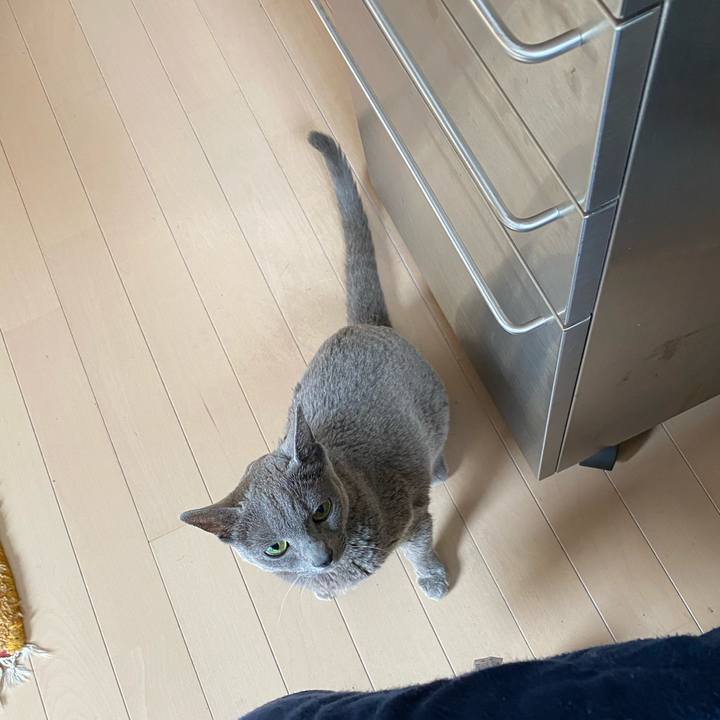 Cd82ca3e d300 4490 b567 56c7baf2a211 1612749613311