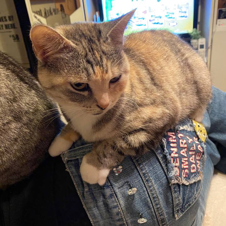 Cd82f167 9c0b 45ba b0db 5673bbf8210e 1577360902201