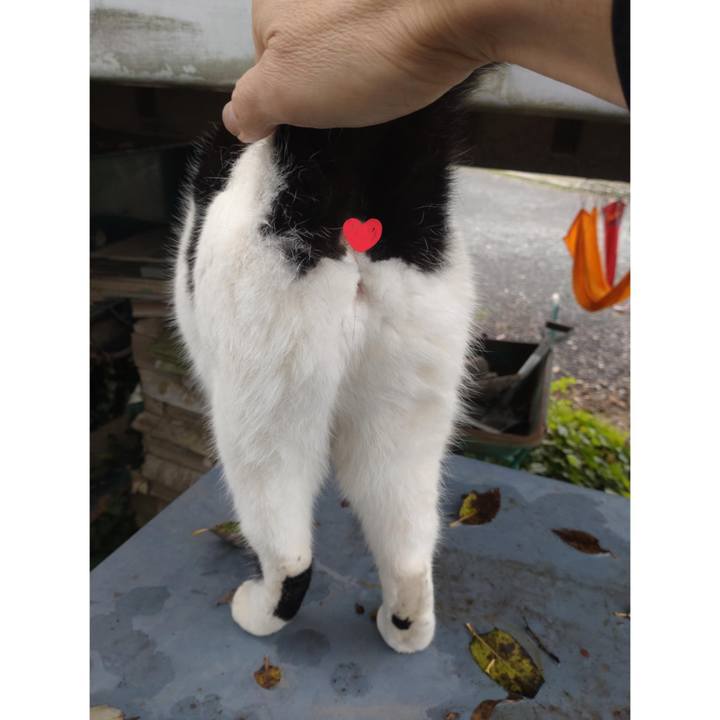 Cd830515 803a 4616 b181 b208d2461b10 1731645402992