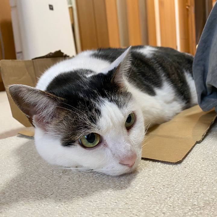 Cd835567 be37 44a8 8d79 38cc3683fc59 1763867548002