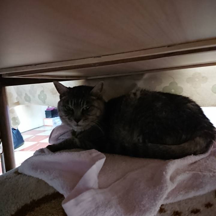 Cd835805 e2c0 4e95 9817 2484b5872cdf 1574200042462