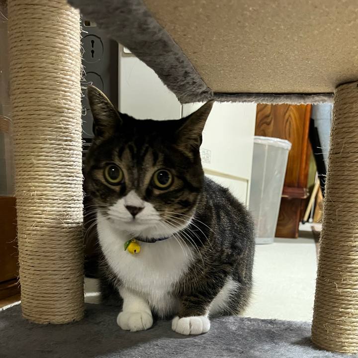 Cd837040 f465 4dec 8ef5 b92f1854470b 1759794430484