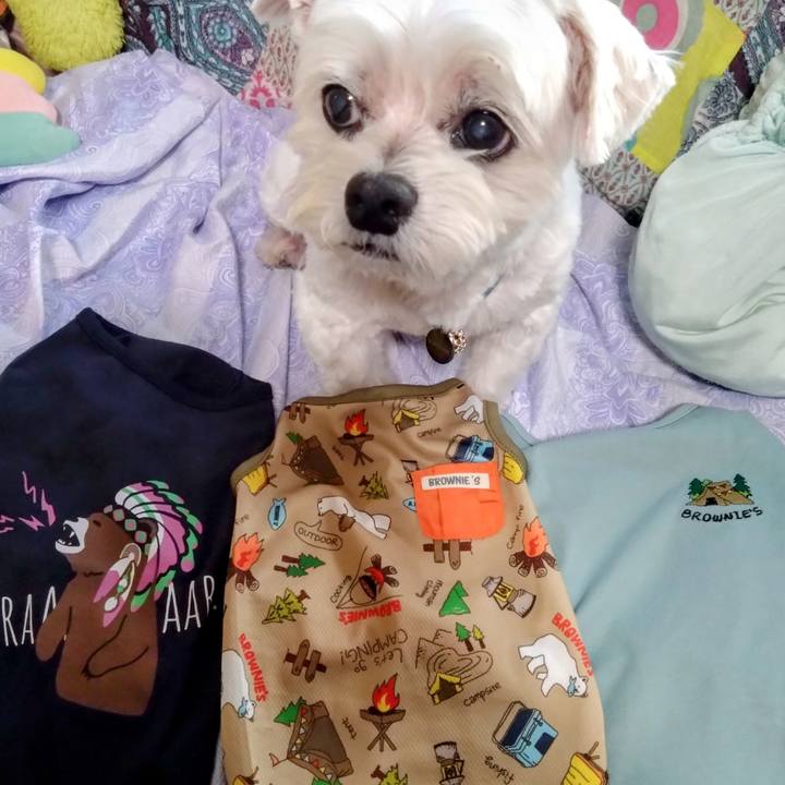 Cd8383a7 e119 4f78 b201 09bdb0cdaa13 1753787486149