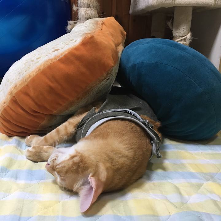 Cd841308 3e78 480d b01f 6cd0f613fa8a 1537788849880