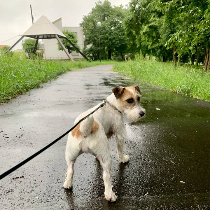 Cd841b58 0ea5 4636 a585 478eb49a55c0 1625403644463