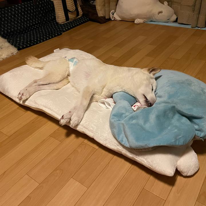 Cd843b63 462e 4242 b641 536355c43285 1662917787810