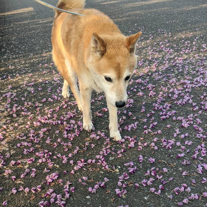 Cd8456f6 7c7e 4a71 a905 e9663dd45e63 1758025795165