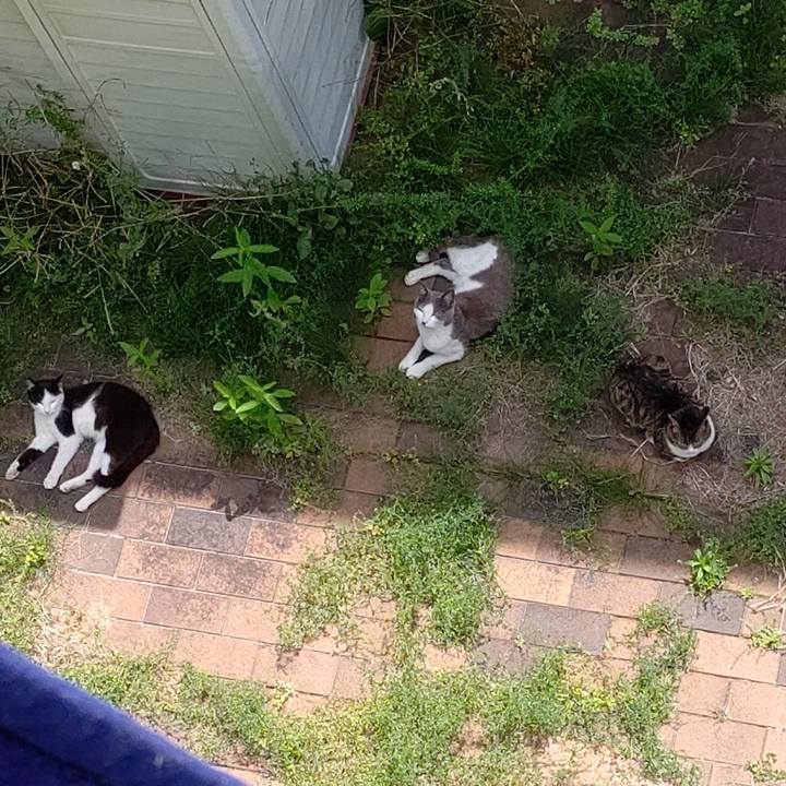 Cd846e23 16e0 4757 90d0 7582c040bea8 1620101335432