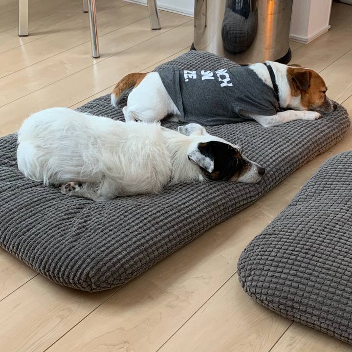 Cd84f0b0 50b7 430d b980 2a5e955a729f 1559029168589