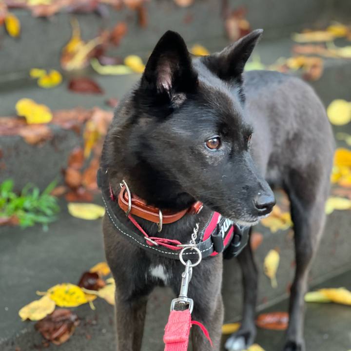 Cd8510e1 b2d8 44d7 b94f 7b216645f444 1663537670624