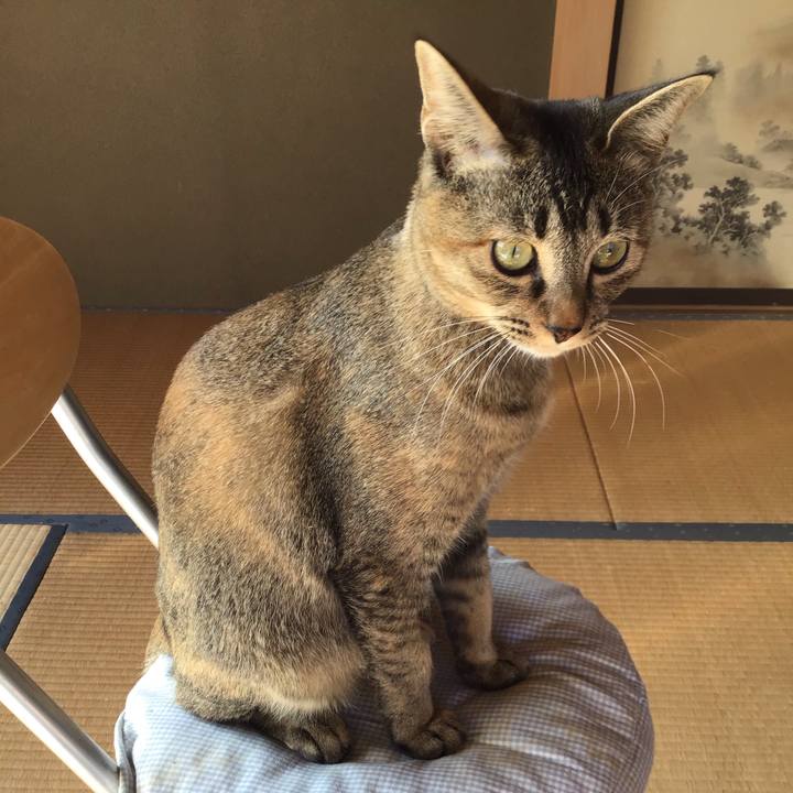 Cd852741 7980 4f5c b387 5cff1f45b803 1578287380814