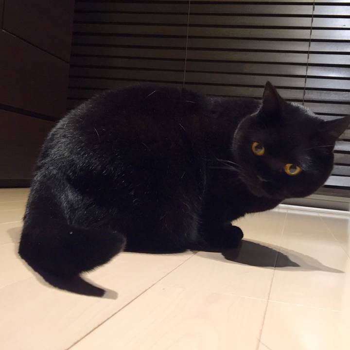 Cd8528c8 8742 42e5 a7db 5f3ad16184b6 1574504550257