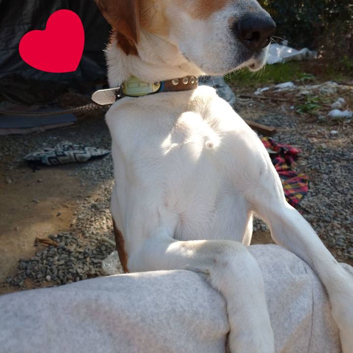 Cd855464 0f01 44cc 9759 ed089543c5d2 1613195354559