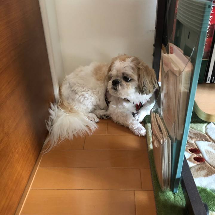 Cd856603 64df 454c 8a05 868d65b8aed8 1590961813746