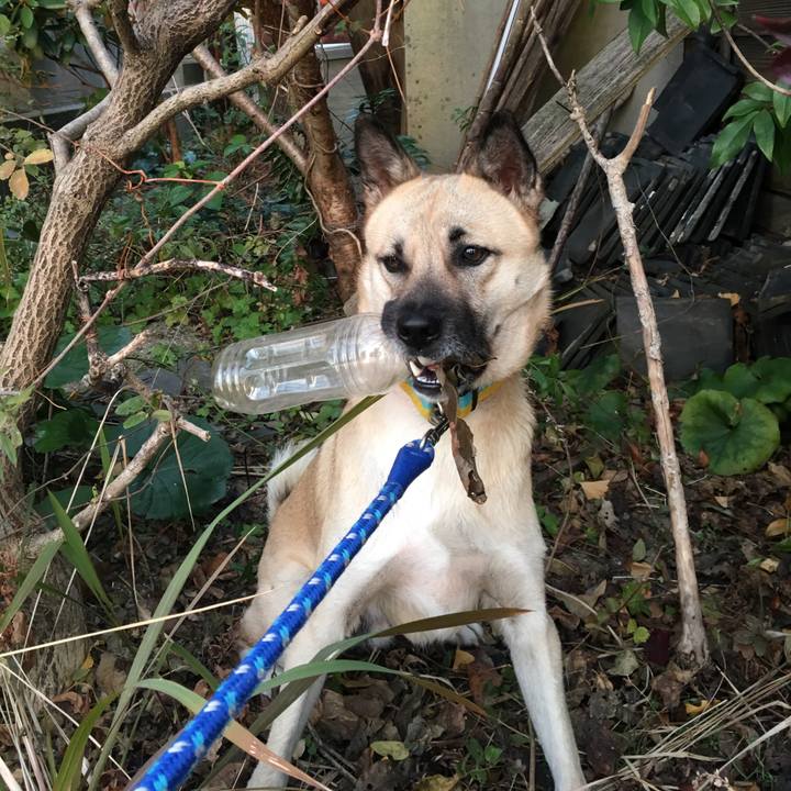 Cd85ad80 961e 47f7 8ecd bf64ce346ca0 1513944757415