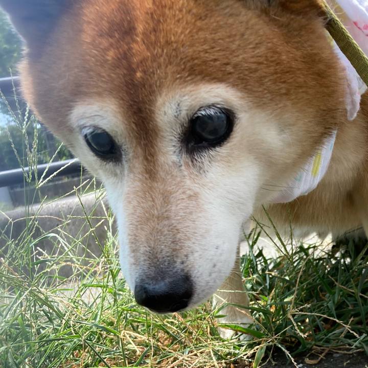 Cd85bb49 3068 4342 aa24 f08369dbb563 1690516380265