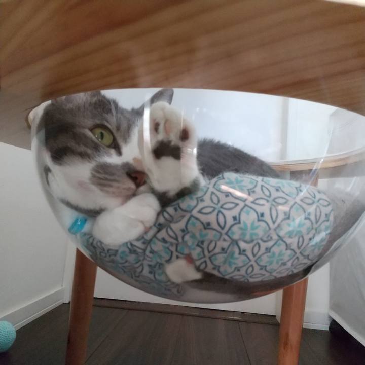 Cd85ff3c c5b4 4536 8318 d7700fd69e65 1632101402439