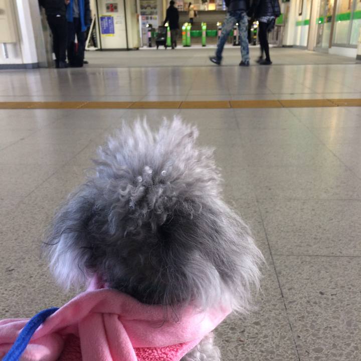 Cd86229a 9be1 41f2 8071 fe6a78e26e8f 1514698001264