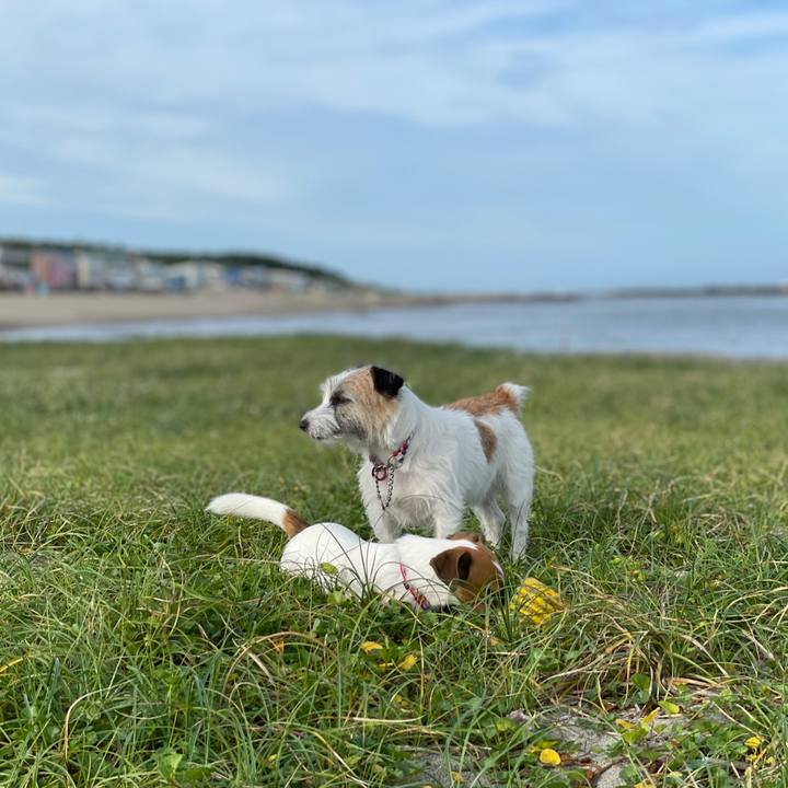 Cd863b77 7c9c 4735 9908 636be5ec1bb2 1631576208533