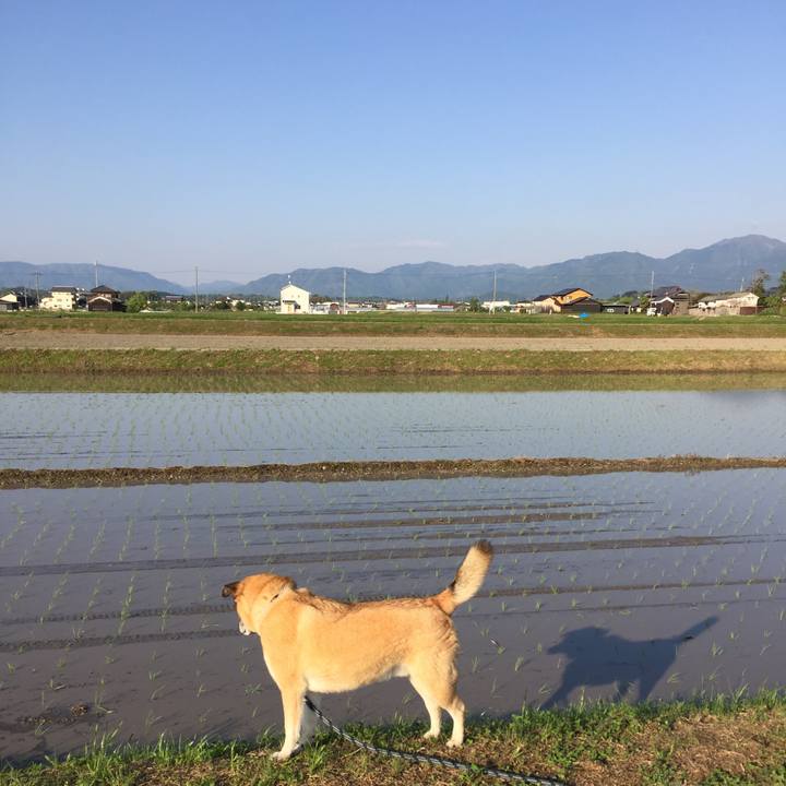 Cd863c05 9632 41b5 b2be 614f23d7a77c 1525507408714