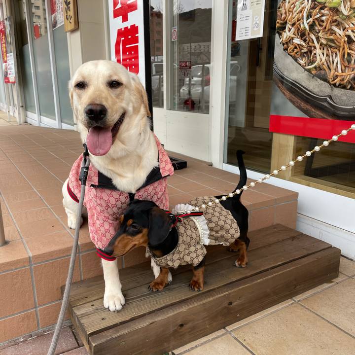 Cd863cf7 e7eb 43bb 8ae5 432268f2196a 1647850149679