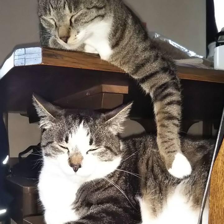 Cd864b64 7568 4f72 83ad 9ec4dbe0e38f 1605533849840