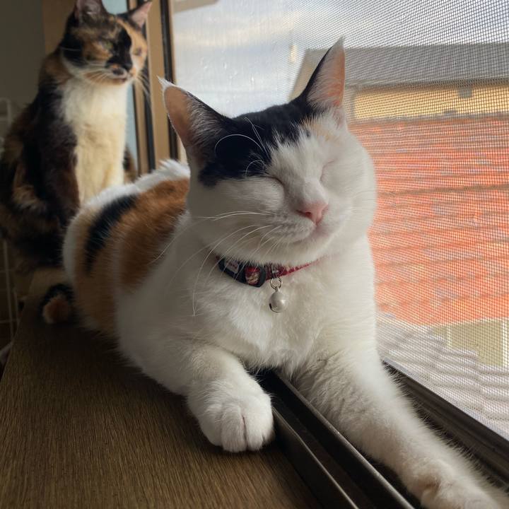 Cd86543d eb8b 40b6 9361 0546afde2620 1661504111012