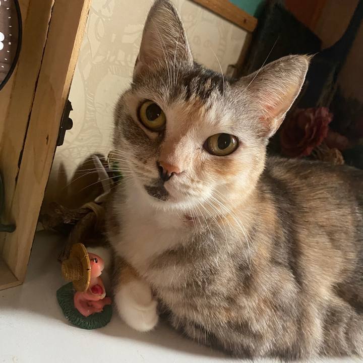 Cd865e07 910f 4dde 973d a3fa37064e43 1601819874521