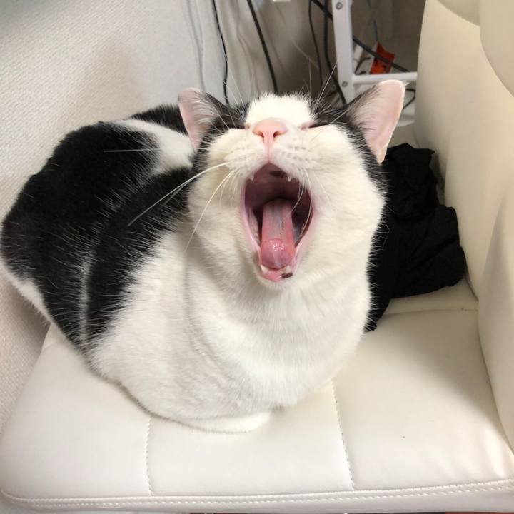 Cd86769c 69ff 4c85 89a8 33bf42721646 1521116485035