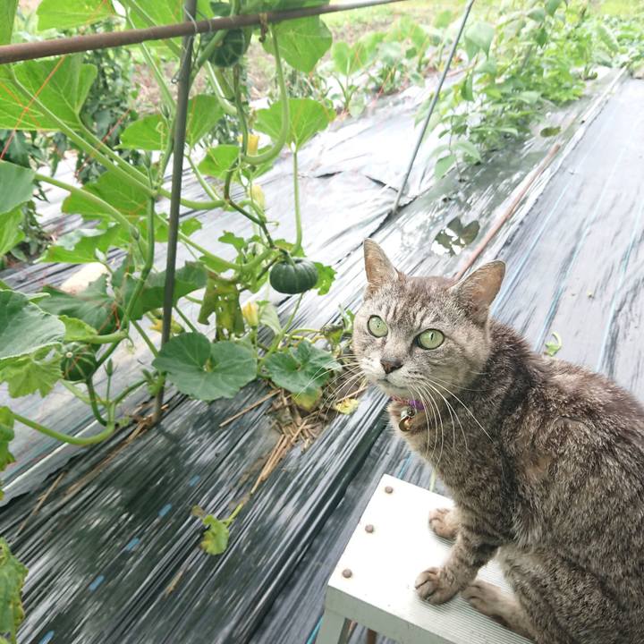 Cd869206 aeba 4e6e 9bd9 830842951215 1593930585811