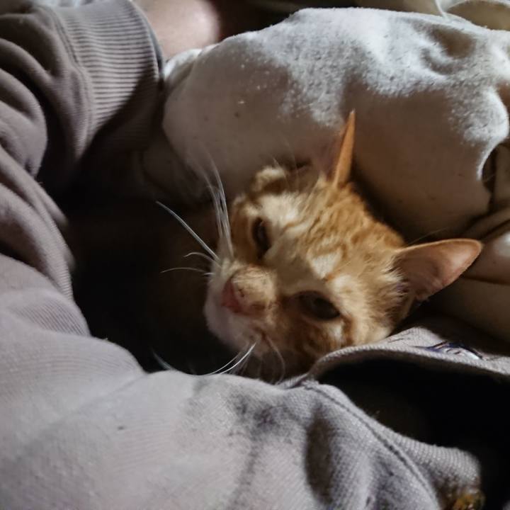 Cd86952c f20a 40ca 958d e5fd8405f438 1644613737481