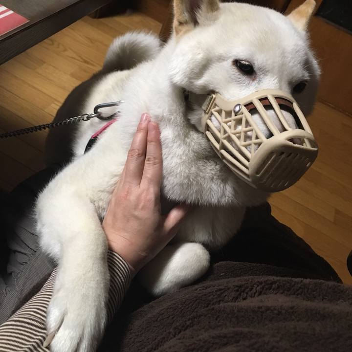 Cd869579 9100 43fe ba09 4916fc44bea5 1544695563346