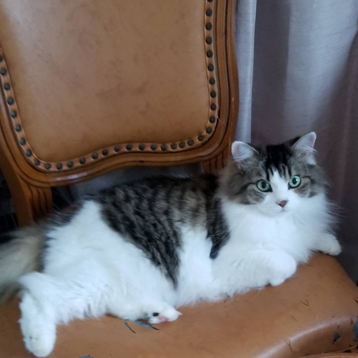 Cd8696b7 a4d8 42be bf48 7e7d153e5e44 1568240499987