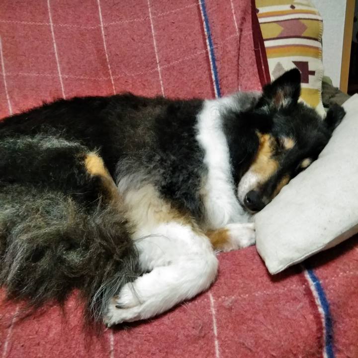 Cd86a7c8 9160 4e48 a08b 5795a3c6abe6 1528899875865